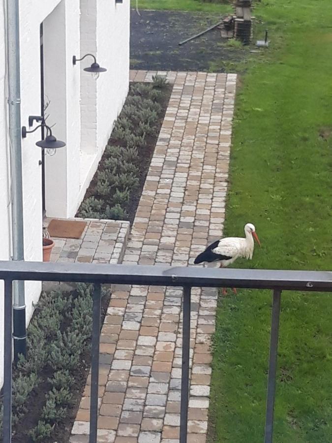 Ferienwohnung Storchennest Bad Rothenfelde Dış mekan fotoğraf